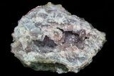 Amethyst Crystal Cluster - Morocco #70674-1